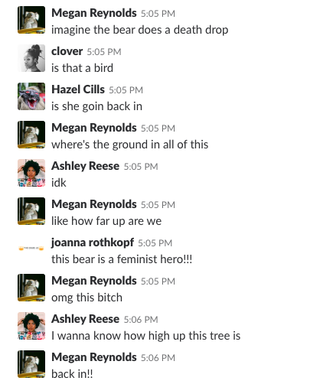 Apparently we all decided that the bear was a lady bear.